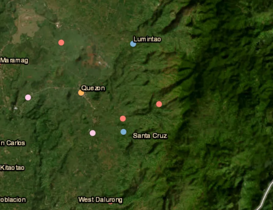 Four NPA militants surrender in Bukidnon