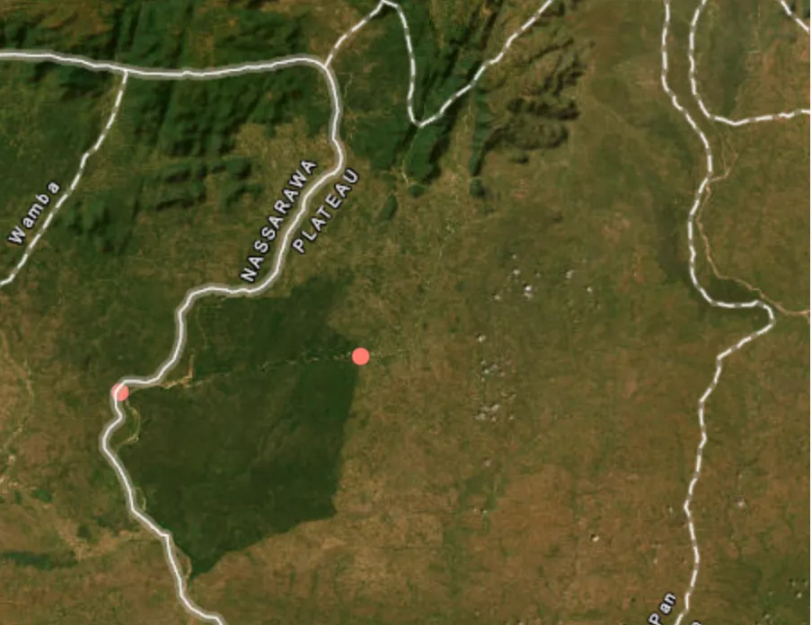 Gunmen kill four people in Plateau State